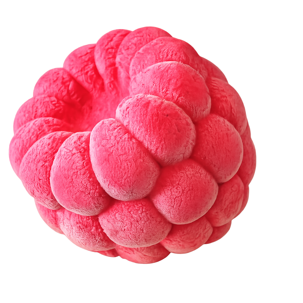 Raspberry